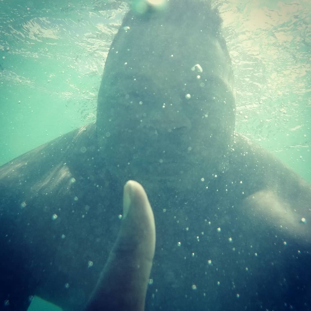 Meet your Posher, Theo